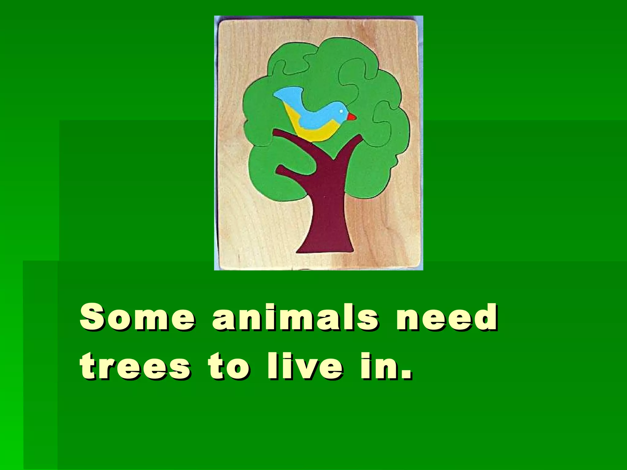 Some animals need trees to live in.