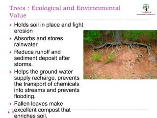 Trees : Ecological and Environmental
Value
9
 Holds soil in place and fight
erosion
 Absorbs and stores
rainwater
 Reduce runoff and
sediment deposit after
storms.
 Helps the ground water
supply recharge, prevents
the transport of chemicals
into streams and prevents
flooding.
 Fallen leaves make
excellent compost that
enriches soil.
 