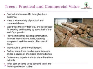 Trees : Practical and Commercial Value
 Support and sustain life throughout our
existence.
 Have a wide variety of practical and
commercial uses.
 Wood was the very first fuel, and is still used
for cooking and heating by about half of the
world's population.
 Provide timber for building construction,
furniture manufacture, tools, sporting
equipment, and thousands of household
items.
 Wood pulp is used to make paper.
 Bark of some trees can be made into cork
and is a source of chemicals and medicines
 Quinine and aspirin are both made from bark
extracts.
 Inner bark of some trees contains latex, the
main ingredient of rubber.13
 