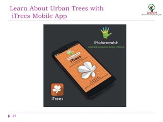 Learn About Urban Trees with
iTrees Mobile App
21
 