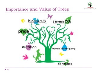 Importance and Value of Trees
4
 