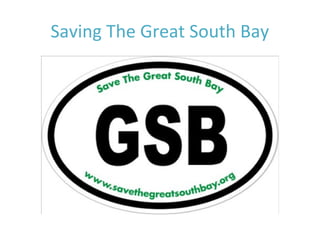Saving The Great South Bay
 