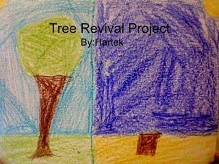 Tree Revival Project ,[object Object]
