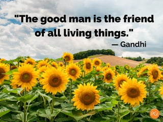 "The good man is the friend
of all living things."
— Gandhi
 
