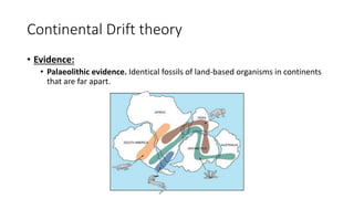 Continental Drift theory
• Evidence:
• Palaeolithic evidence. Identical fossils of land-based organisms in continents
that are far apart.
 