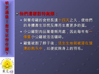 他們這樣對待禽類： 剝奪母雞的食物長達 十四天 之久，使他們的身體產生恐慌反應而生產更多的蛋。 小公雞對肉品業毫無用處，因此每年有 一億隻 小公雞被活活碾碎。 雞隻被割了脖子後， 活生生地就被浸在滾燙的熱水中 ，以便拔除身上的羽毛。 