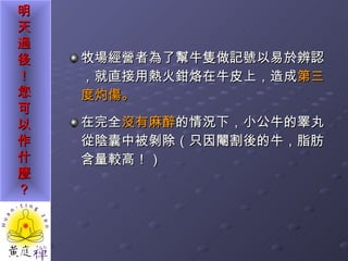 牧場經營者為了幫牛隻做記號以易於辨認，就直接用熱火鉗烙在牛皮上，造成 第三度灼傷。 在完全 沒有麻醉 的情況下，小公牛的睪丸從陰囊中被剝除（只因閹割後的牛，脂肪含量較高！） 