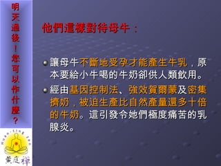 他們這樣對待母牛： 讓母牛 不斷地受孕才能產生牛乳 ， 原本要給小牛喝的牛奶卻供人類飲用。 經由 基因控制法 、 強效賀爾蒙 及 密集擠奶，被迫生產比自然產量還多十倍的牛奶 。 這引發令她們極度痛苦的乳腺炎。 