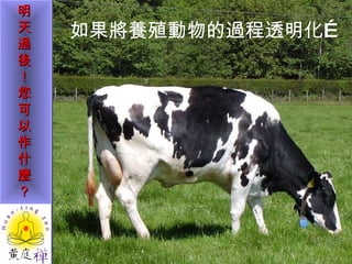 如果將養殖動物的過程透明化… 