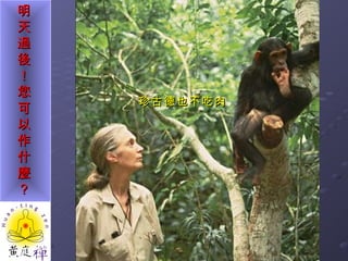 珍古德也不吃肉 