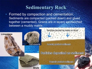 Earth history | PPTX