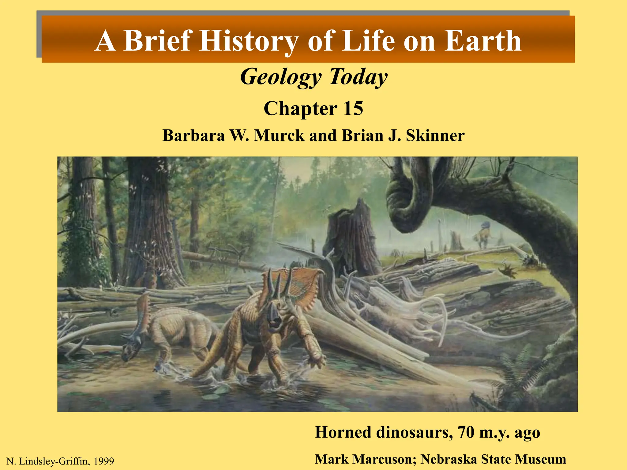 A Brief History of Life on Earth Geology Today | PPT