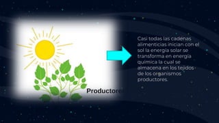 • Casi todas las cadenas
alimenticias inician con el
sol la energía solar se
transforma en energía
química la cual se
almacena en los tejidos
de los organismos
productores.
.
 