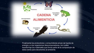 Finalmente los productores y consumidores sirven de fuente de
energía y a los organismos descomponedores, los cuales
transforman los materiales que forma parte de la composición de
estos seres para devolverlos al ambiente.
 