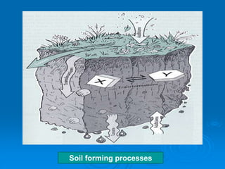 Soil forming processes
 