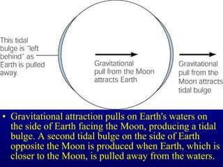 • Gravitational attraction pulls on Earth's waters on
the side of Earth facing the Moon, producing a tidal
bulge. A second tidal bulge on the side of Earth
opposite the Moon is produced when Earth, which is
closer to the Moon, is pulled away from the waters.
 
