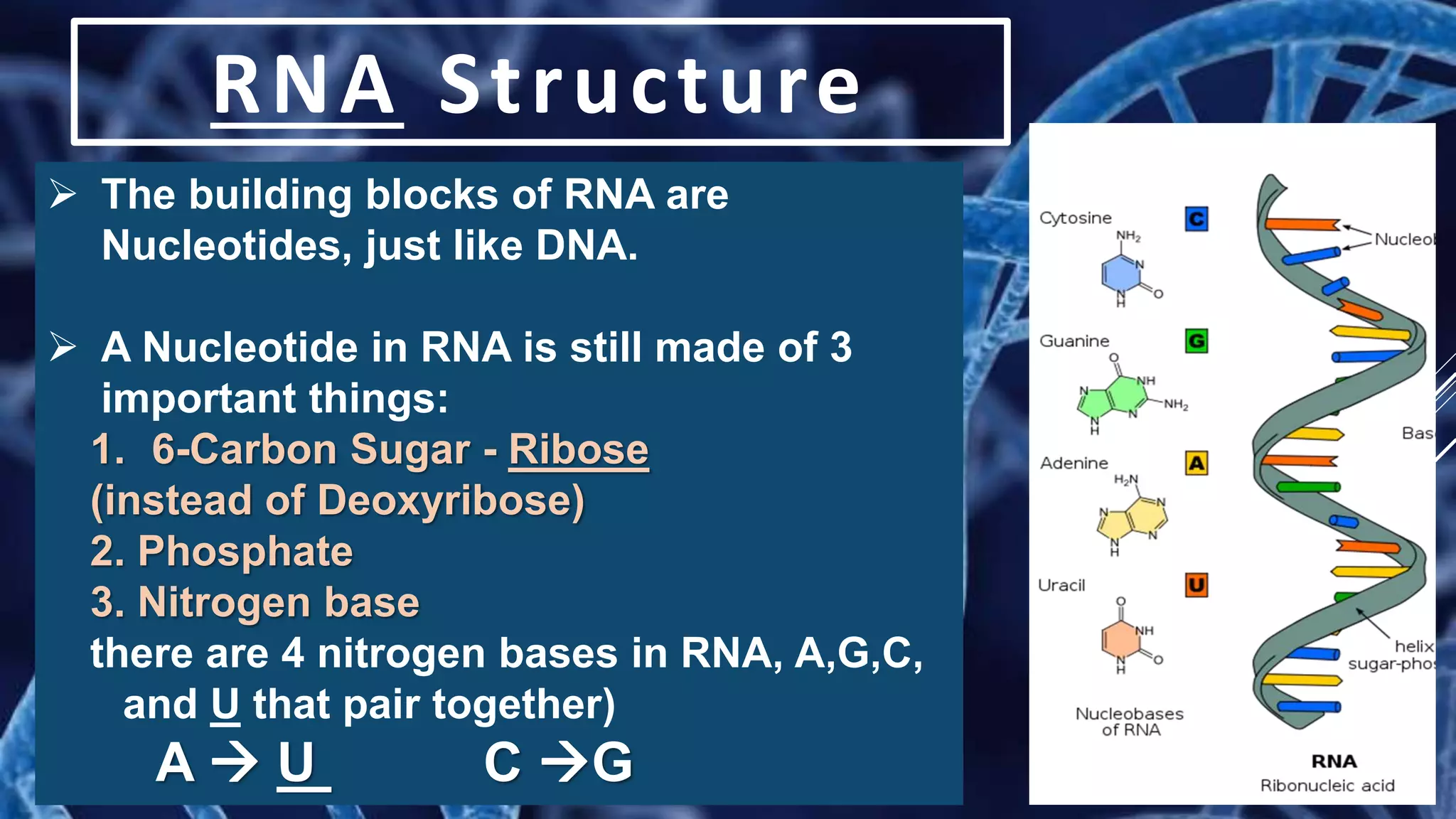 EARTH AND LIFE SCIENCE Unifying Themes Of Life | PPTX