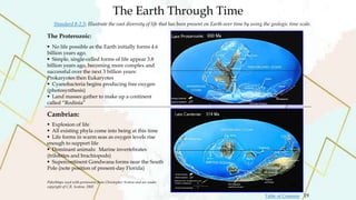 The Earth Through Time
Standard 8-2.5: Illustrate the vast diversity of life that has been present on Earth over time by using the geologic time scale.
 No life possible as the Earth initially forms 4.6
billion years ago.
 Simple, single-celled forms of life appear 3.8
billion years ago, becoming more complex and
successful over the next 3 billion years:
Prokaryotes then Eukaryotes
 Cyanobacteria begins producing free oxygen
(photosynthesis)
 Land masses gather to make up a continent
called “Rodinia”
Cambrian:
 Explosion of life
 All existing phyla come into being at this time
 Life forms in warm seas as oxygen levels rise
enough to support life
 Dominant animals: Marine invertebrates
(trilobites and brachiopods)
 Supercontinent Gondwana forms near the South
Pole (note position of present-day Florida)
The Proterozoic:
PaleoMaps used with permission from Christopher Scotese and are under
copyright of C.R. Scotese, 2002 29
19
Table of Contents
 
