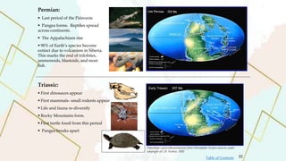 Permian:
 Last period of the Paleozoic
 Pangea forms. Reptiles spread
across continents.
 The Appalachians rise
 90% of Earth’s species become
extinct due to volcanism in Siberia.
This marks the end of trilobites,
ammonoids, blastoids, and most
fish.
Triassic:
 First dinosaurs appear
 First mammals- small rodents appear
 Life and fauna re-diversify
 Rocky Mountains form.
 First turtle fossil from this period
 Pangea breaks apart
PaleoMaps used with permission from Christopher Scotese and are under
copyright of C.R. Scotese, 2002
22
Table of Contents
 
