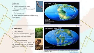 Jurassic:
 Pangea still breaking apart
 Dinosaurs flourish “Golden age of
dinosaurs”
 First birds appear
 North America continues to rotate away
from Africa
Cretaceous:
 T-Rex develops
 First snakes and primates appear
 Deciduous trees and grasses
common
 First flowering plants
 Mass extinction marks the end of
the Mesozoic Era, with the demise
of dinoaurs and 25% of all marine
life.
PaleoMaps used with permission from Christopher Scotese and are under copyright of
C.R. Scotese, 2002
33
Table of Contents
 