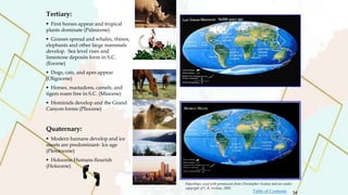 Tertiary:
 First horses appear and tropical
plants dominate (Paleocene)
 Grasses spread and whales, rhinos,
elephants and other large mammals
develop. Sea level rises and
limestone deposits form in S.C.
(Eocene)
 Dogs, cats, and apes appear
(Oligocene)
 Horses, mastadons, camels, and
tigers roam free in S.C. (Miocene)
 Hominids develop and the Grand
Canyon forms (Pliocene)
Quaternary:
 Modern humans develop and ice
sheets are predominant- Ice age
(Pleistocene)
 Holocene Humans flourish
(Holocene)
PaleoMaps used with permission from Christopher Scotese and are under
copyright of C.R. Scotese, 2002
34
Table of Contents
 
