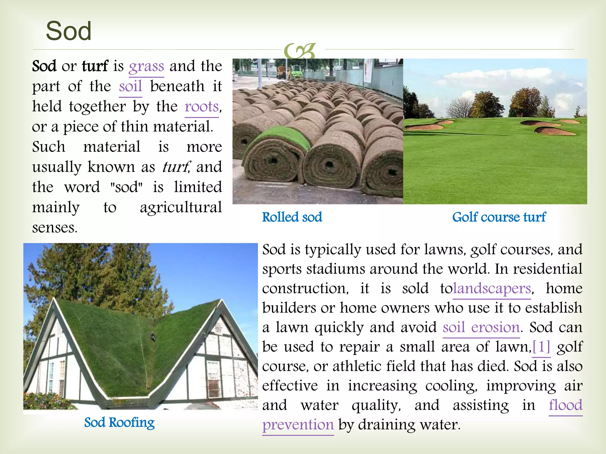 
Sod
Sod or turf is grass and the
part of the soil beneath it
held together by the roots,
or a piece of thin material.
Such material is more
usually known as turf, and
the word "sod" is limited
mainly to agricultural
senses.
Rolled sod Golf course turf
Sod is typically used for lawns, golf courses, and
sports stadiums around the world. In residential
construction, it is sold tolandscapers, home
builders or home owners who use it to establish
a lawn quickly and avoid soil erosion. Sod can
be used to repair a small area of lawn,[1] golf
course, or athletic field that has died. Sod is also
effective in increasing cooling, improving air
and water quality, and assisting in flood
prevention by draining water.Sod Roofing
 