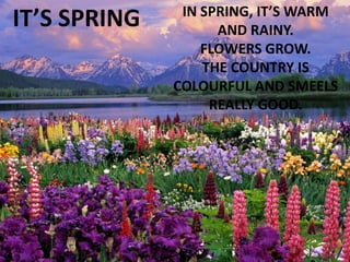IT’S SPRING

IN SPRING, IT’S WARM
AND RAINY.
FLOWERS GROW.
THE COUNTRY IS
COLOURFUL AND SMEELS
REALLY GOOD.

 