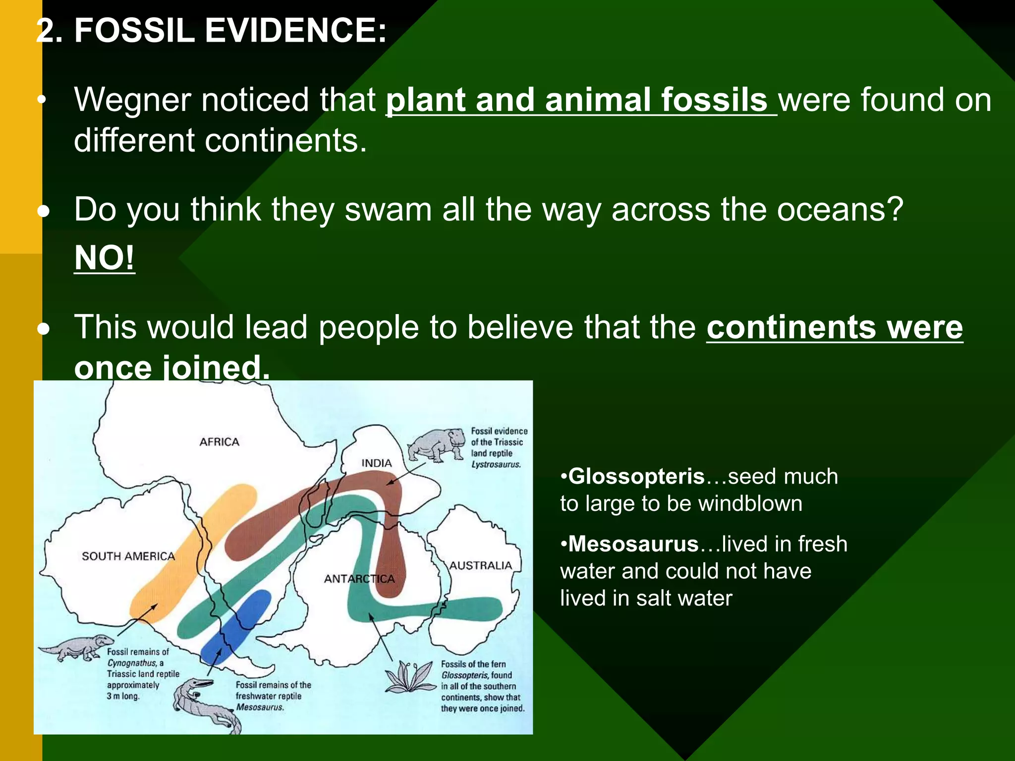 2. FOSSIL EVIDENCE:
• Wegner noticed that plant and animal fossils were found on
different continents.
 Do you think they swam all the way across the oceans?
NO!
 This would lead people to believe that the continents were
once joined.
•Glossopteris…seed much
to large to be windblown
•Mesosaurus…lived in fresh
water and could not have
lived in salt water
 