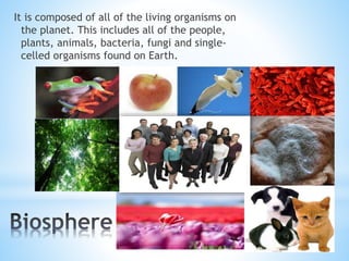 It is composed of all of the living organisms on
the planet. This includes all of the people,
plants, animals, bacteria, fungi and single-
celled organisms found on Earth.
 