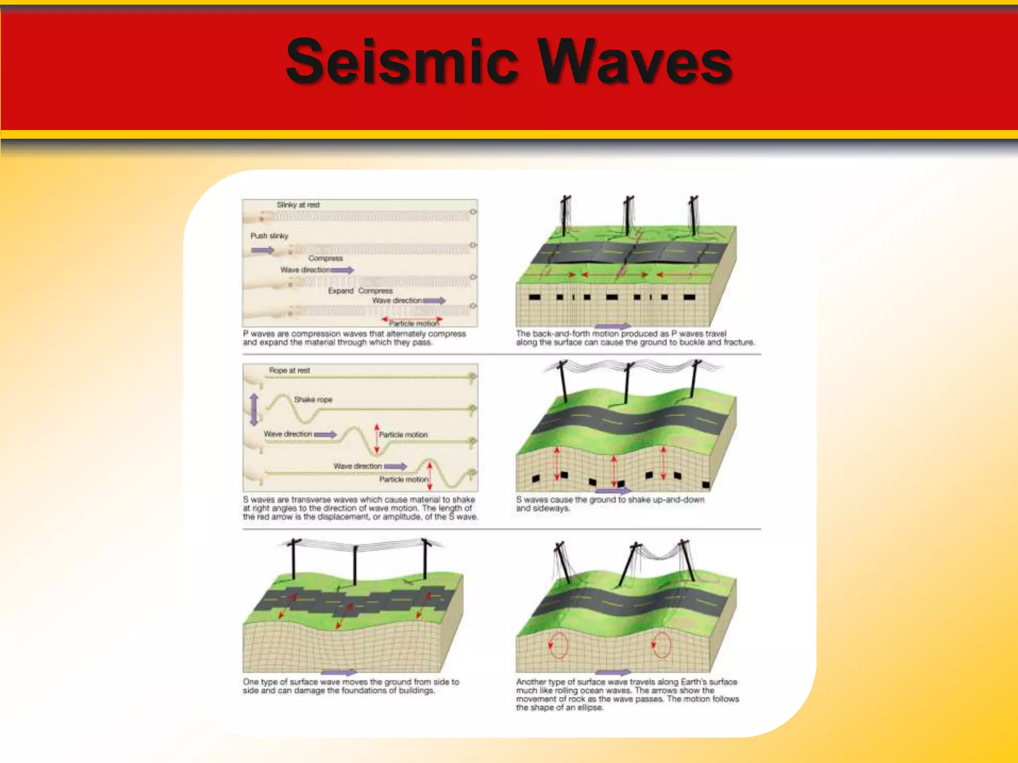 Seismic Waves 
 