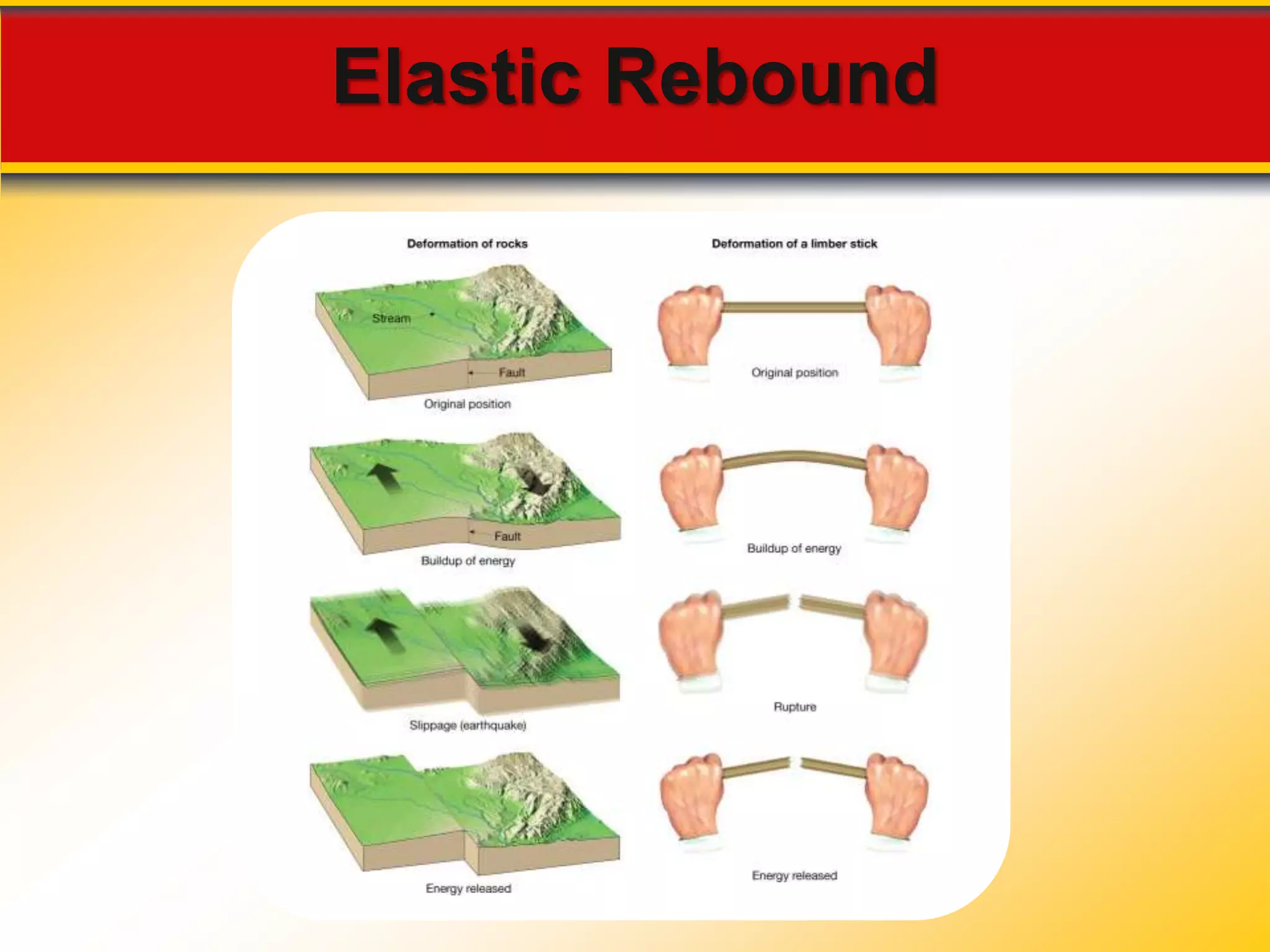 Elastic Rebound 
 