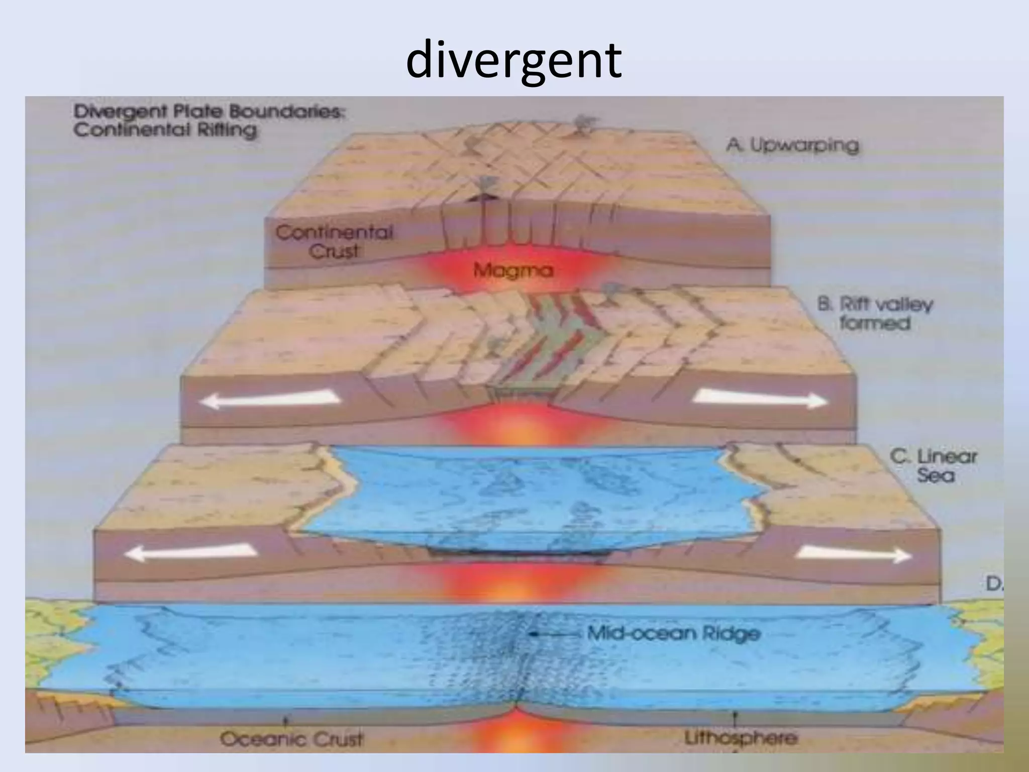 • plates spread apart
• caused by magma upwelling from
deep in the Earth
• usually found in the oceans along
with mid-ocean ridges
divergent
 