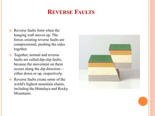 REVERSE FAULTS
 Reverse faults form when the
hanging wall moves up. The
forces creating reverse faults are
compressional, pushing the sides
together.
 Together, normal and reverse
faults are called dip-slip faults,
because the movement on them
occurs along the dip direction—
either down or up, respectively.
 Reverse faults create some of the
world's highest mountain chains,
including the Himalaya and Rocky
Mountains.
 