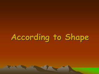 According to Shape
 