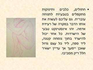 חתולים ,  כלבים ותינוקות מתקפלים בטבעיות לתנוחה עוברית .  גם עליכם לעשות את אותו הדבר במקרה של רעידת אדמה .  זהו אינסטינקט טבעי של הישרדות .  כל אחד יכול להישרד בתוך גומחה קטנה ,  ליד ספה ,  ליד כל עצם גדול שאכן יימעך אך עדיין ישאיר חלל ריק מסביבו . 