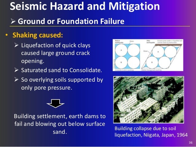 The impact of earthquakes on human activities