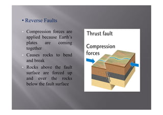 • Reverse Faults

•   Compression forces are
    applied because Earth’s
    plates    are    coming
    together
•   Causes rocks to bend
    and break
•   Rocks above the fault
    surface are forced up
    and over the rocks
    below the fault surface
 