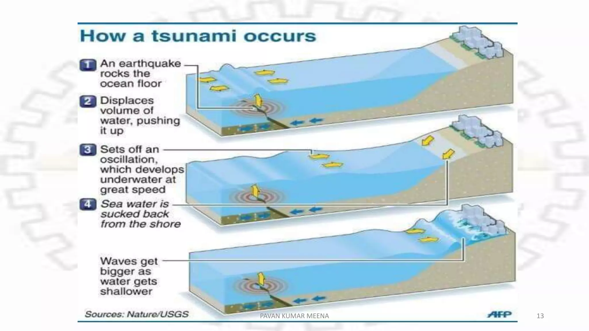 PAVAN KUMAR MEENA 13
 