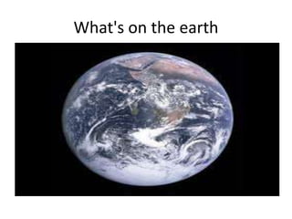 What's on the earth
 
