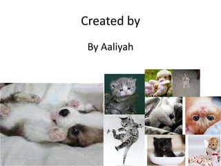 Created by
 By Aaliyah
 