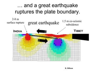 great earthquake
TibetIndia
2-8 m
surface rupture 1.5 m co-seismic
subsidence
… and a great earthquake
ruptures the plate boundary.
R. Bilham
 