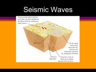 Seismic Waves 