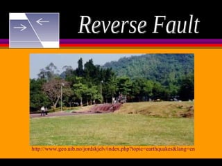 Reverse Fault http://www.geo.uib.no/jordskjelv/index.php?topic=earthquakes&lang=en   