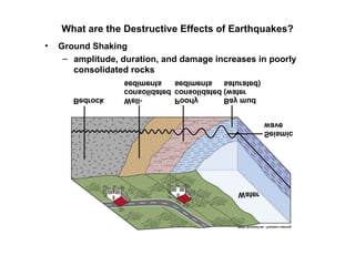 What are the Destructive Effects of Earthquakes?
•   Ground Shaking
     – amplitude, duration, and damage increases in poorly
       consolidated rocks
 