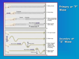 Primary or “P”
Wave




Secondary or
“S” Wave
 