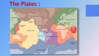 The Plates :
 