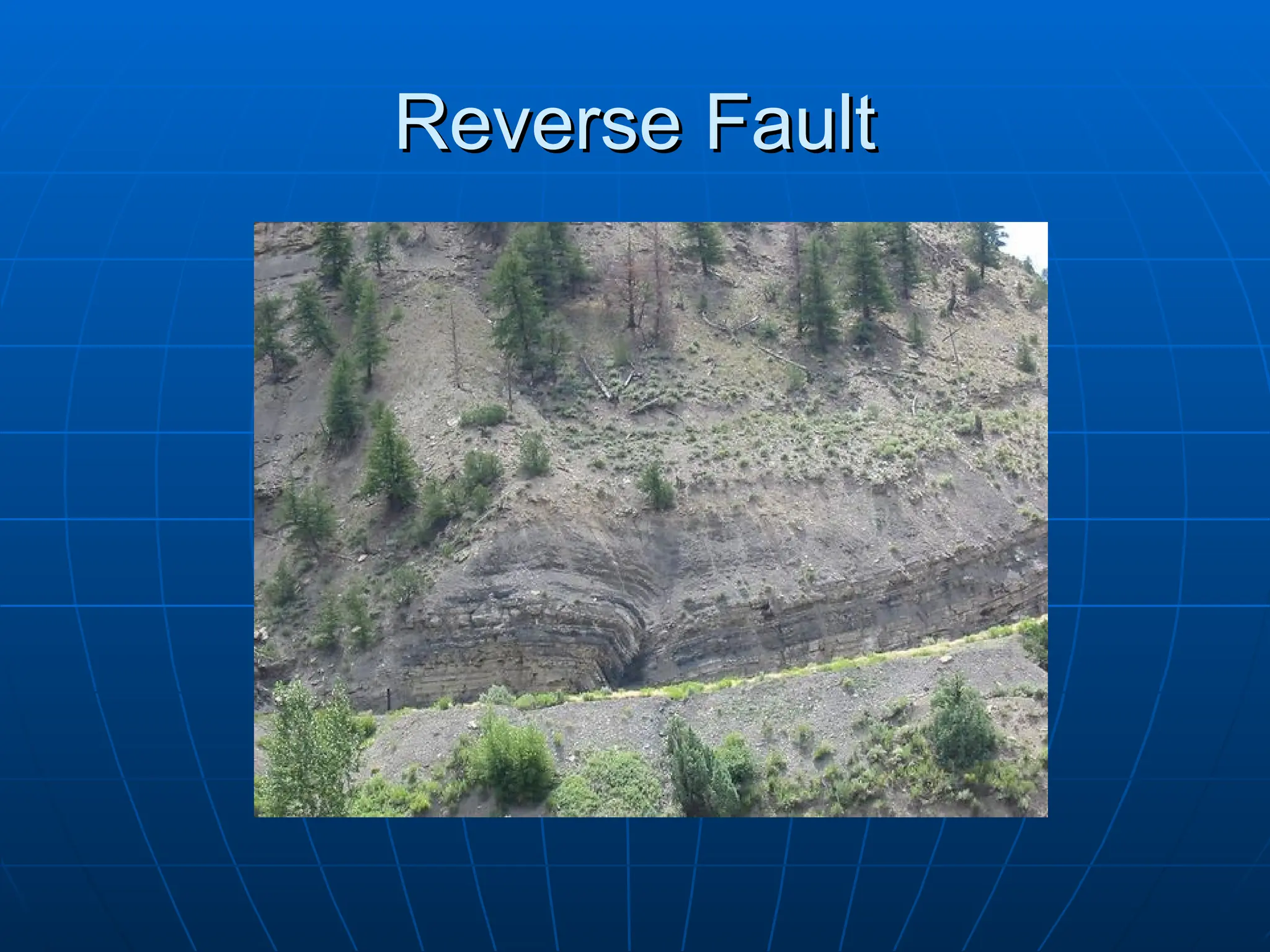 Reverse Fault
Reverse Fault
 