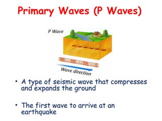 Primary Waves (P Waves)
• A type of seismic wave that compresses
and expands the ground
• The first wave to arrive at an
earthquake
 