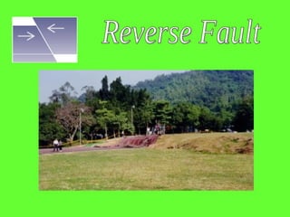Reverse Fault 