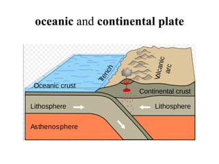 oceanic and continental plate
 
